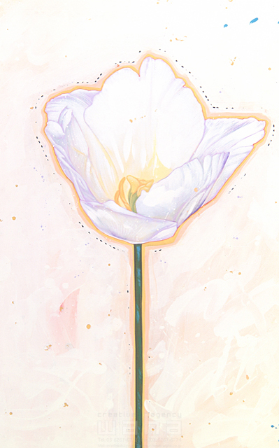 線画 リアル 植物 自然 白 花 花びら 儚い 美しい きれい 優しい エコロジー ナチュラル イラスト作品紹介 イラスト 写真のストックフォトwaha ワーハ カンプデータは無料