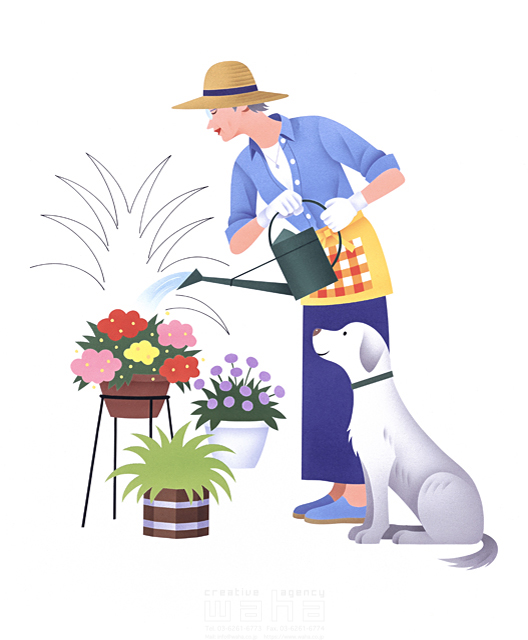 イラスト＆写真のストックフォトwaha（ワーハ）　カネヒラヤスコ、人物、ガーデンライフ、中高年、シニア、ペット、女性、お婆さん、育てる、花、植物、植木鉢、帽子、水やり、じょうろ、エプロン　カネヒラ・ヤスコ　11-0560c