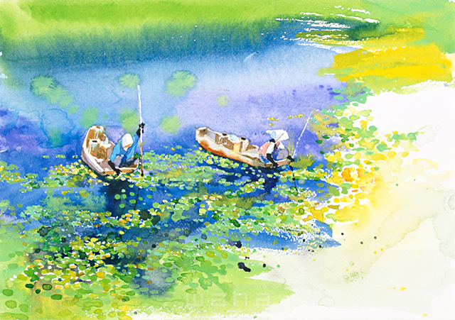 イラスト＆写真のストックフォトwaha（ワーハ）　自然、風景、働く、農家、じゅんさい採り、舟、竿、収穫、沼、池、浮き葉、浮く、水面、透明感、清涼感、情緒、風情、静か、季節、初夏、日本、青森、水彩　金 斗鉉　12-1158c