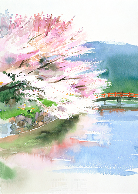 イラスト＆写真のストックフォトwaha（ワーハ）　春、自然、風景、ほのぼの、開放感、樹木、桜、咲く、満開、春爛漫、うららか、橋、川、水面、透明感、山、静か、古都、情緒、風情、日本、京都、水彩　金 斗鉉　12-1161c