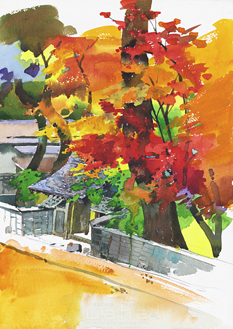 イラスト＆写真のストックフォトwaha（ワーハ）　自然、風景、地球、世界、日本、秋、樹木、庭木、もみじ、紅葉、日本家屋、和風建築、古民家、門構え、情緒、風情、水彩　金 斗鉉　15-1350c