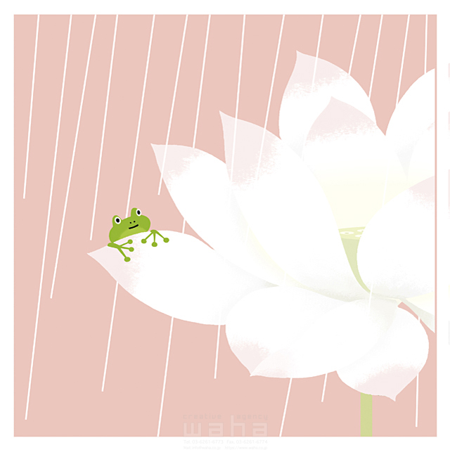 イラスト＆写真のストックフォトwaha（ワーハ）　カエル、雨、花　eka　16-0962b
