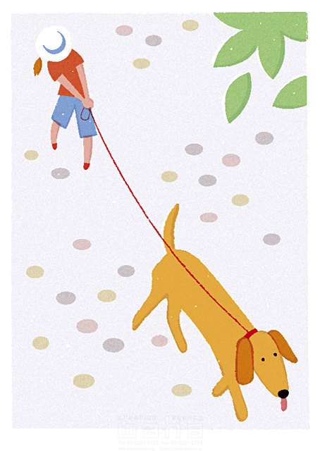 人物 女性 子供 女の子 1人 ペット 犬 屋外 公園 散歩 イラスト作品紹介 イラスト 写真のストックフォトwaha ワーハ カンプデータは無料
