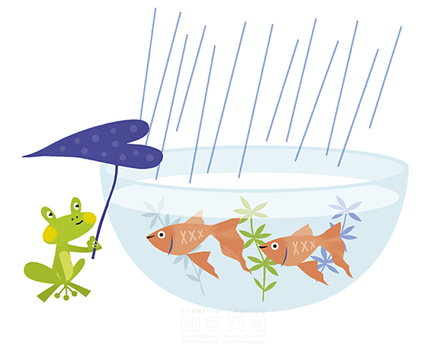 カエル 魚 金魚 雨 自然 白バック イラスト作品紹介 イラスト 写真のストックフォトwaha ワーハ カンプデータは無料