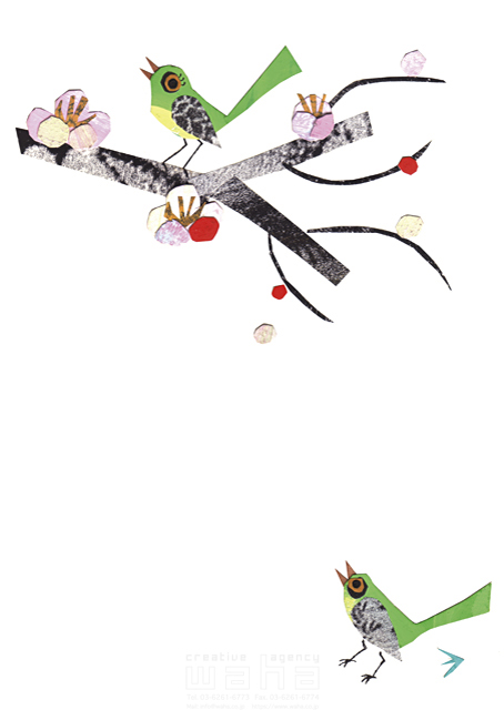 イラスト＆写真のストックフォトwaha（ワーハ）　たかぎのぶこ、動物、鳥、うぐいす、正月、梅　たかぎ*のぶこ　18-0009a