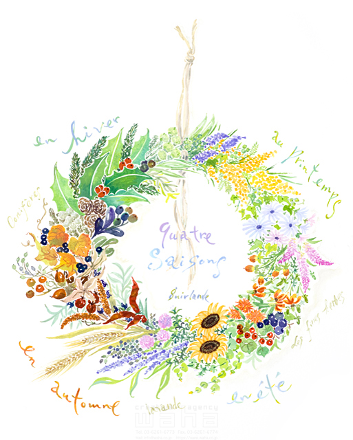 イラスト＆写真のストックフォトwaha（ワーハ）　物、リース、飾り、花　中野 和美　18-0175b