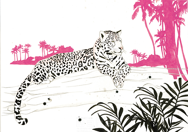 自然 サバンナ ジャングル 野生 動物 豹 ヒョウ レオパード ワイルド モダン 水彩 線画 イラスト作品紹介 イラスト 写真のストックフォトwaha ワーハ カンプデータは無料