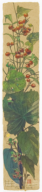 イラスト＆写真のストックフォトwaha（ワーハ）　植物、花、草花、自然、ナチュラル、ガーデンライフ、エコ、エコロジー、水彩、冬、なんてん、南天、ふゆいちご、冬苺　素水　18-3645b