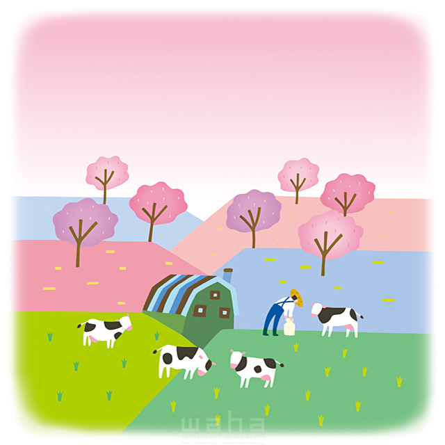 イラスト＆写真のストックフォトwaha（ワーハ）　動物、牛、飼育、育てる、牛乳、自然、風景、田舎、春、桜、牧場、のどか　荒蒔 悦子　18-3748b
