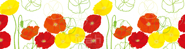 イラスト＆写真のストックフォトwaha（ワーハ）　自然、植物、花、ポピー、草、ナチュラル、ガーデンライフ、エコ、春、白バック、貼り絵　鈴木 百絵　18-3829c