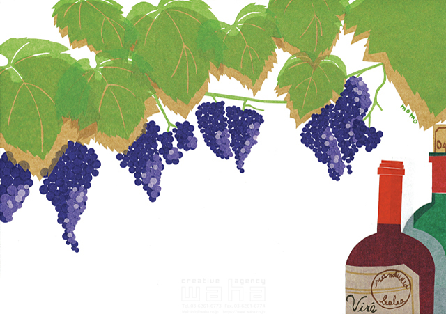 食育 食材 果物 新鮮 ブドウ グレープ 葡萄 収穫 ワイン 健康 ヘルシー おいしい 安全 エコ ナチュラル 白バック 貼り絵 イラスト作品紹介 イラスト 写真のストックフォトwaha ワーハ カンプデータは無料