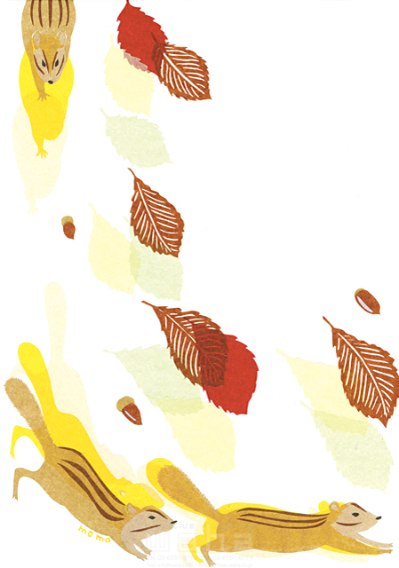 イラスト＆写真のストックフォトwaha（ワーハ）　自然、植物、落ち葉、紅葉、草、エコ、ナチュラル、動物、リス、走る、追いかける、ほおばる、共存、かわいい、白バック、貼り絵　鈴木 百絵　18-3847b