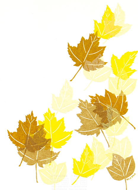 イラスト＆写真のストックフォトwaha（ワーハ）　自然、植物、落ち葉、紅葉、ポプラ、草、エコ、ナチュラル、秋、白バック、貼り絵　鈴木 百絵　18-3853b