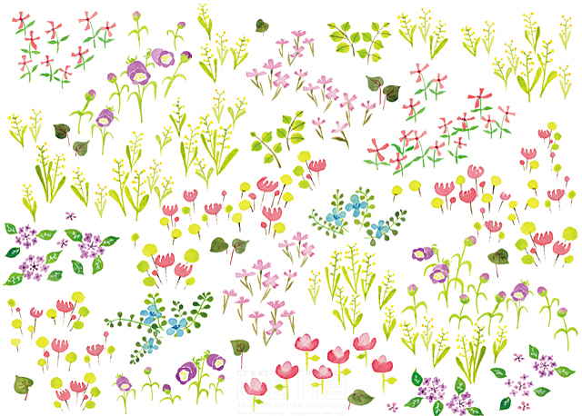 自然 植物 野の花 花 野原 エコロジー ナチュラル 春 夏 水彩 やわらかい かわいい 白バック イラスト作品紹介 イラスト 写真の ストックフォトwaha ワーハ カンプデータは無料