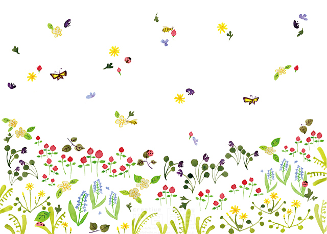 自然 植物 野の花 花 野原 エコロジー ナチュラル 春 夏 水彩 やわらかい かわいい 白バック イラスト作品紹介 イラスト 写真の ストックフォトwaha ワーハ