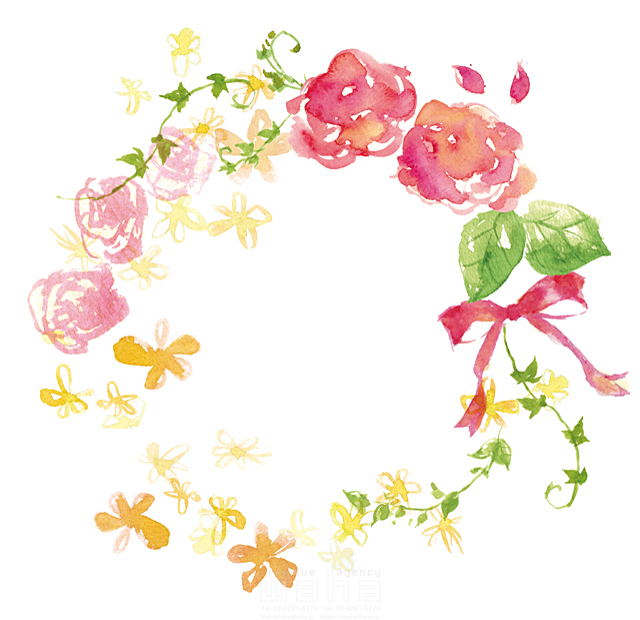 自然 植物 花 花輪 リース 薔薇 アイビー 華やか ピュア 華やか かわいい きれい ナチュラル エコ ガーデンライフ 水彩 白バック イラスト作品紹介 イラスト 写真のストックフォトwaha ワーハ カンプデータは無料