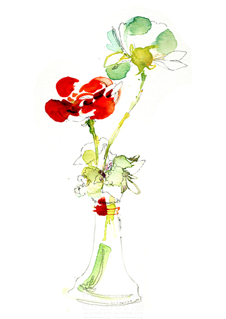 イラスト＆写真のストックフォトwaha（ワーハ）　生活雑貨、花瓶、植物、花、ラナンキュラス、自然、エコ、ナチュラル、かわいい、水彩、おしゃれ、白バック　Hiroe　18-4350b