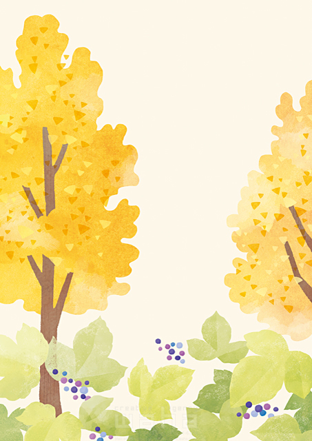 イラスト＆写真のストックフォトwaha（ワーハ）　季節、秋、植物、イチョウ、木　ことり寧子　18-5234c