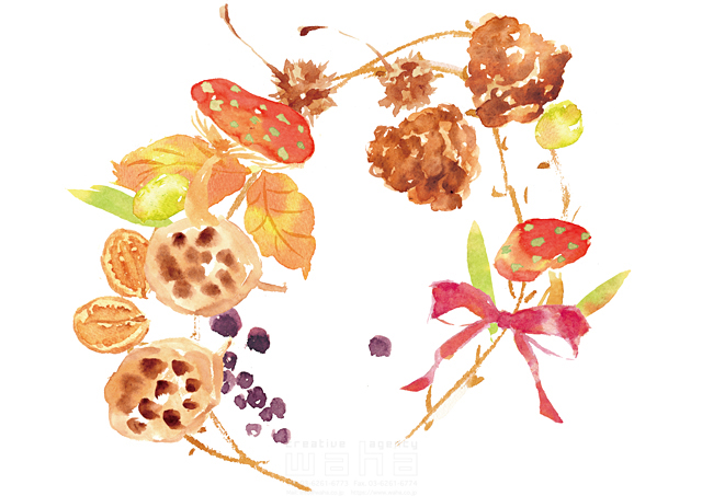 イラスト＆写真のストックフォトwaha（ワーハ）　植物、秋、落ち葉、葉、木の実、リース、実り、リボン　たけもと えりこ　18-5470b