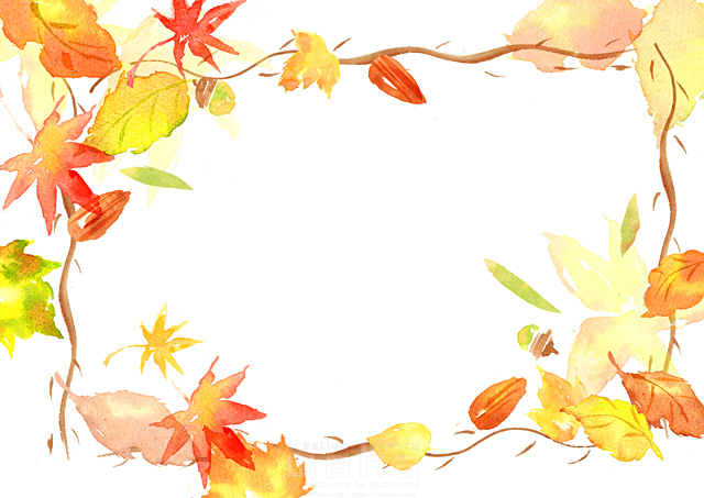 イラスト＆写真のストックフォトwaha（ワーハ）　水彩、木、秋、紅葉、葉、自然、植物、枠、飾り、季節、もみじ　たけもと えりこ　18-5476b