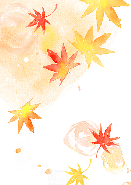 イラスト＆写真のストックフォトwaha（ワーハ）　植物、秋、落ち葉、葉、自然　たけもと えりこ　18-5478a