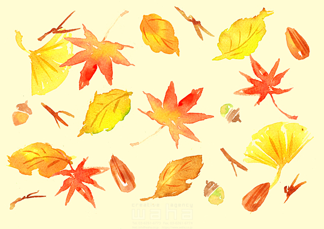 イラスト＆写真のストックフォトwaha（ワーハ）　植物、秋、落ち葉、葉　たけもと えりこ　18-5479a
