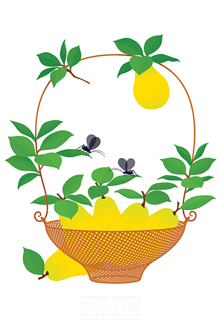イラスト＆写真のストックフォトwaha（ワーハ）　秋、果物、籠、梨、コオロギ　eka　18-5574b