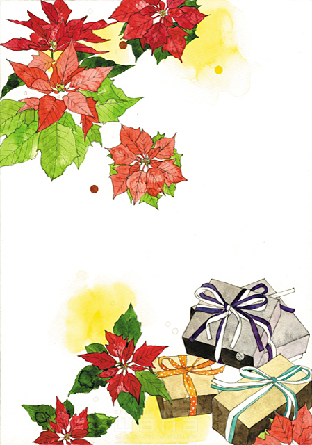 クリスマス 植物 ポインセチア プレゼント イラスト作品紹介 イラスト 写真のストックフォトwaha ワーハ カンプデータは無料