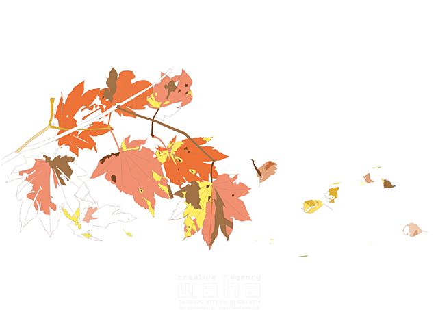 イラスト＆写真のストックフォトwaha（ワーハ）　植物、葉、紅葉、冬　都筑 みなみ　18-5895b