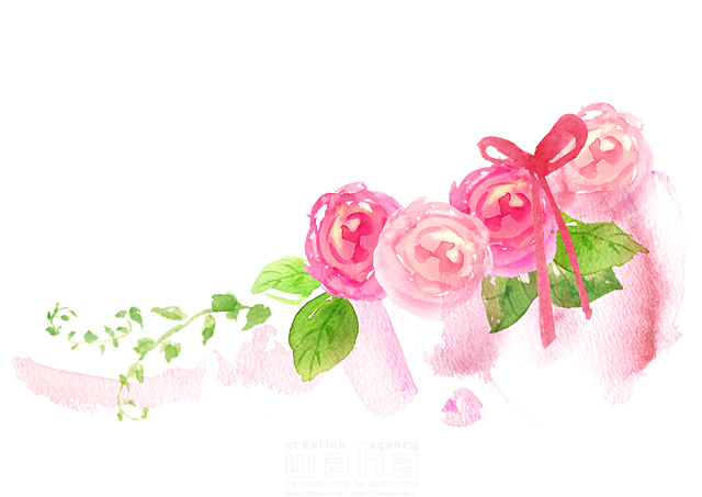 イラスト＆写真のストックフォトwaha（ワーハ）　花、植物、花束、プレゼント、リボン　たけもと えりこ　18-6234b
