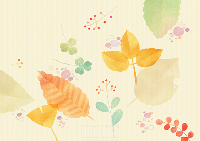 イラスト＆写真のストックフォトwaha（ワーハ）　植物、葉、秋　ことり寧子　18-6378b