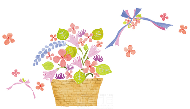イラスト＆写真のストックフォトwaha（ワーハ）　植物、花、カゴ、リボン、お祝い、プレゼント　naginohi　18-6390b