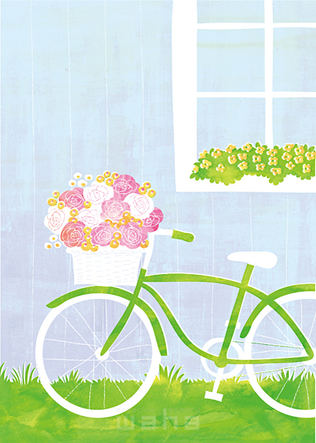 イラスト＆写真のストックフォトwaha（ワーハ）　インテリア、植物、屋外、水彩、花、自転車、窓、庭、カゴ　Ananas Works　18-6939b