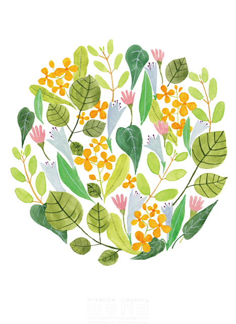イラスト＆写真のストックフォトwaha（ワーハ）　花、葉、植物、木、エコロジー、自然、枝、緑、イメージ、白バック、オブジェ、草、丸、円　naginohi　18-6953b