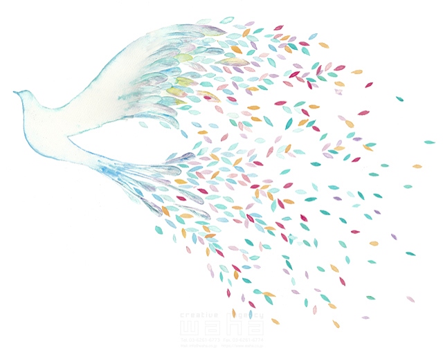 鳥 イラスト