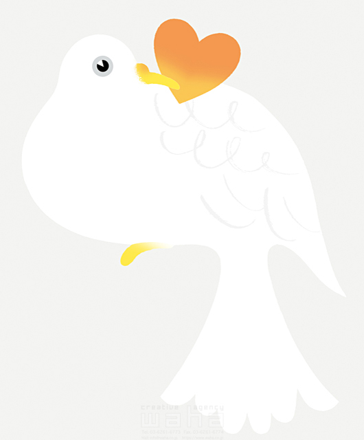 イメージ 鳥 鳩 ハト ハート 愛情 平和 白い鳥 シンボルマーク 動物 イラスト作品紹介 イラスト 写真のストックフォトwaha ワーハ カンプデータは無料