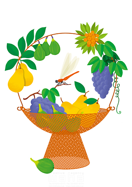 イラスト＆写真のストックフォトwaha（ワーハ）　イメージ、皿、器、果物、植物、実りの秋、実る、ぶどう、洋梨、果実、とんぼ、果物皿、フルーツ、収穫、生活、暮らし、シンボリック、食べ物　eka　19-0499b
