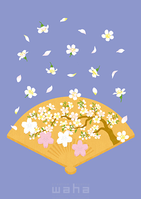 イラスト＆写真のストックフォトwaha（ワーハ）　イメージ、春、扇子、植物、桜、花、梅、満開、花吹雪、めでたい、シンボリック、和風、お祝い、日舞　eka　19-0846b