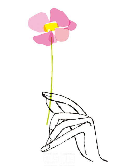 人物 イメージ 女性 手 指 花 一輪 エコロジー 愛情 願い 春 美しい プレゼント 線画 イラスト作品紹介 イラスト 写真のストックフォトwaha ワーハ カンプデータは無料