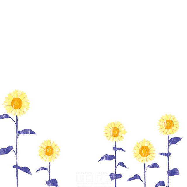 イラスト＆写真のストックフォトwaha（ワーハ）　版画風、植物、フリースペース、花、夏、向日葵、ひまわり、ヒマワリ、夏休み　谷 和　19-1068a