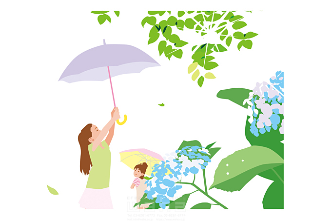 カレンダー 6月 季節 露 雨 傘 散歩 お出かけ 女の子 小学生 紫陽花 花 イラスト作品紹介 イラスト 写真のストックフォトwaha ワーハ カンプデータは無料