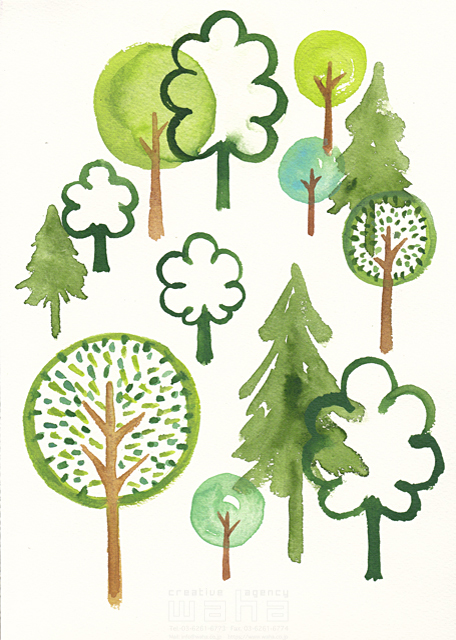 イラスト＆写真のストックフォトwaha（ワーハ）　水彩、木、自然、植物、森、樹、育てる、成長、平和、エコロジー、ナチュラル　ささき みえこ　19-1482b