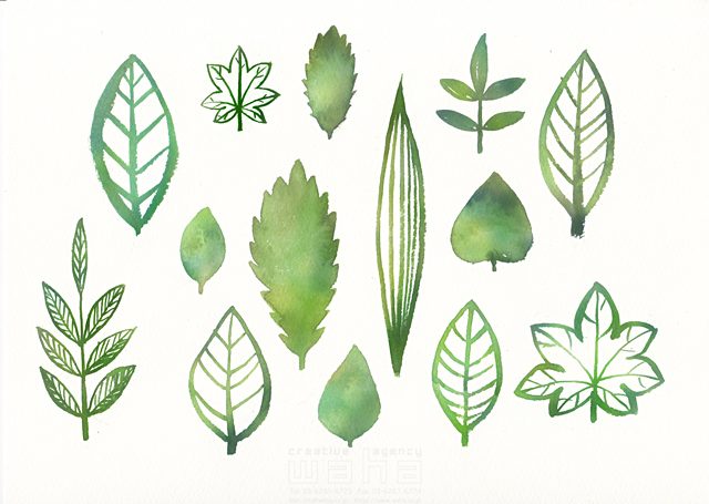 水彩 木 自然 植物 葉 樹 育てる 成長 平和 エコロジー ナチュラル 健康 美容 イラスト作品紹介 イラスト 写真のストックフォトwaha ワーハ カンプデータは無料