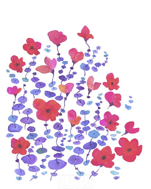 イラスト＆写真のストックフォトwaha（ワーハ）　水彩、花、植物、草、緑、赤、咲く、春、エコロジー、自然、芽、バラ、成長　中野 和美　19-1951b