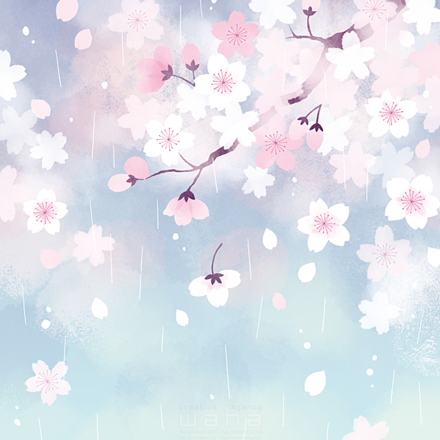 最も欲しかった 桜 イラスト 綺麗 壁紙