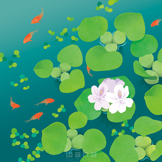 季節 夏 自然 植物 ほてい草 花 魚 水 池 エコロジー 優しい きれい 風景 イラスト作品紹介 イラスト 写真のストックフォトwaha ワーハ