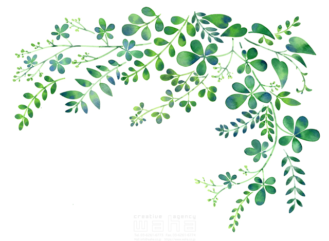 イラスト＆写真のストックフォトwaha（ワーハ）　水彩、草、葉、植物、エコロジー、自然、季節、春、緑　遊木 あかり　20-0008c