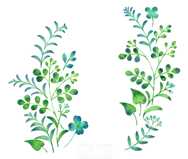 イラスト＆写真のストックフォトwaha（ワーハ）　水彩、花、草、葉、植物、エコロジー、自然、季節、春、緑　遊木 あかり　20-0011c