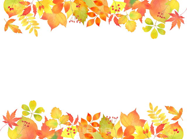 イラスト＆写真のストックフォトwaha（ワーハ）　水彩、秋、季節、紅葉、もみじ、イチョウ、銀杏、葉、落ち葉、自然、植物、エコロジー　遊木 あかり　20-0084b