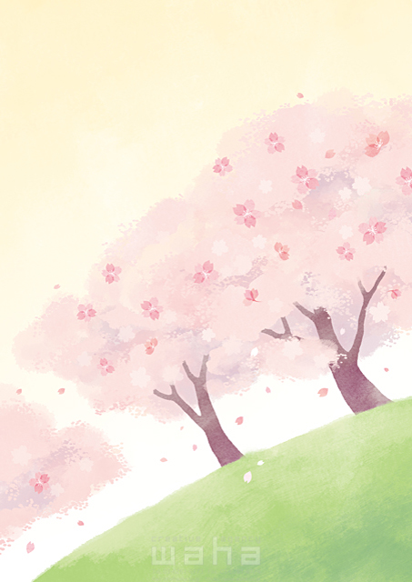 イラスト＆写真のストックフォトwaha（ワーハ）　桜、さくら、サクラ、木、植物、自然、季節、春、花見、風、花びら、風景　ことり寧子　20-0192b